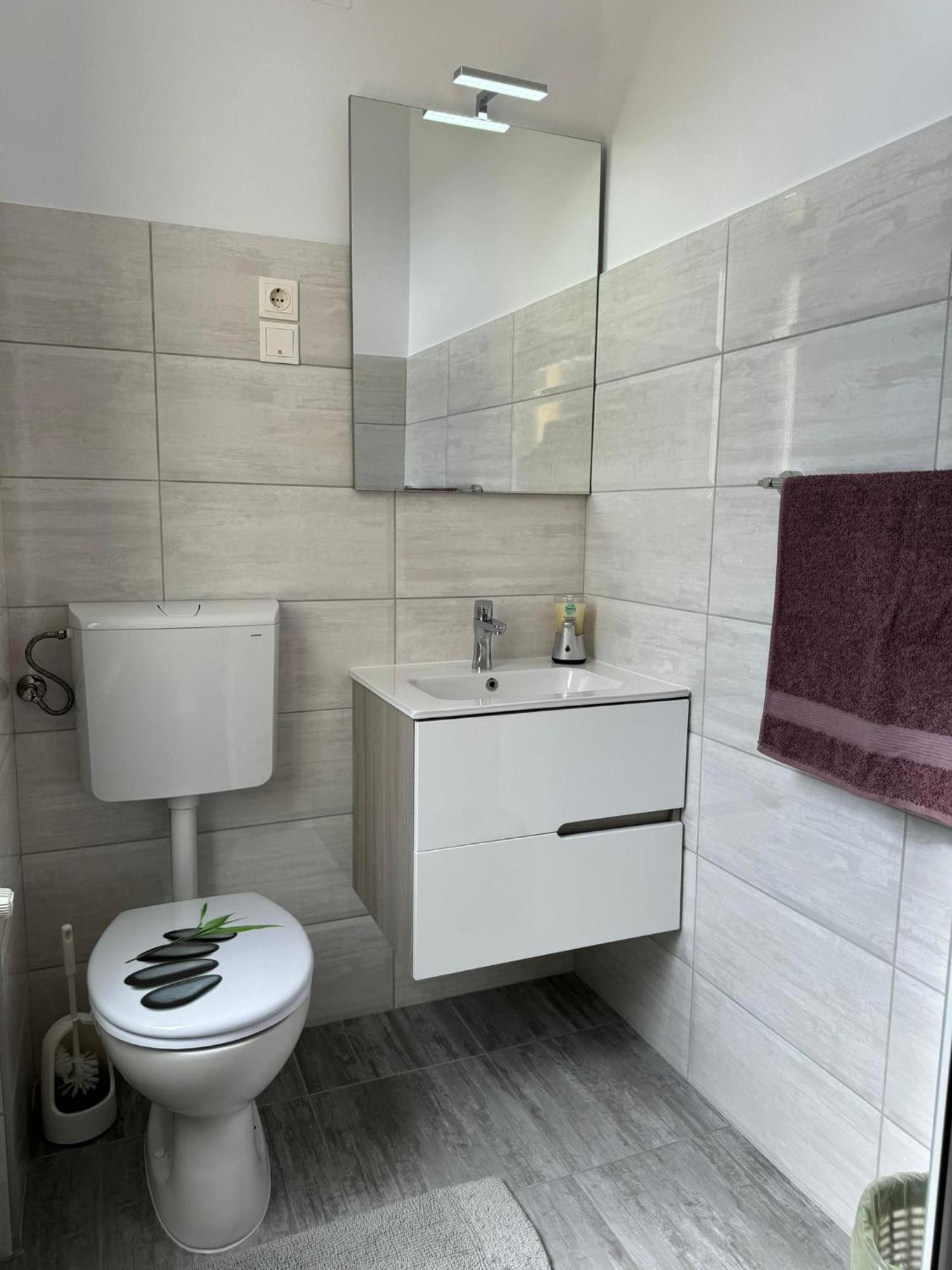 Apartament Victoria Тимишоара Экстерьер фото