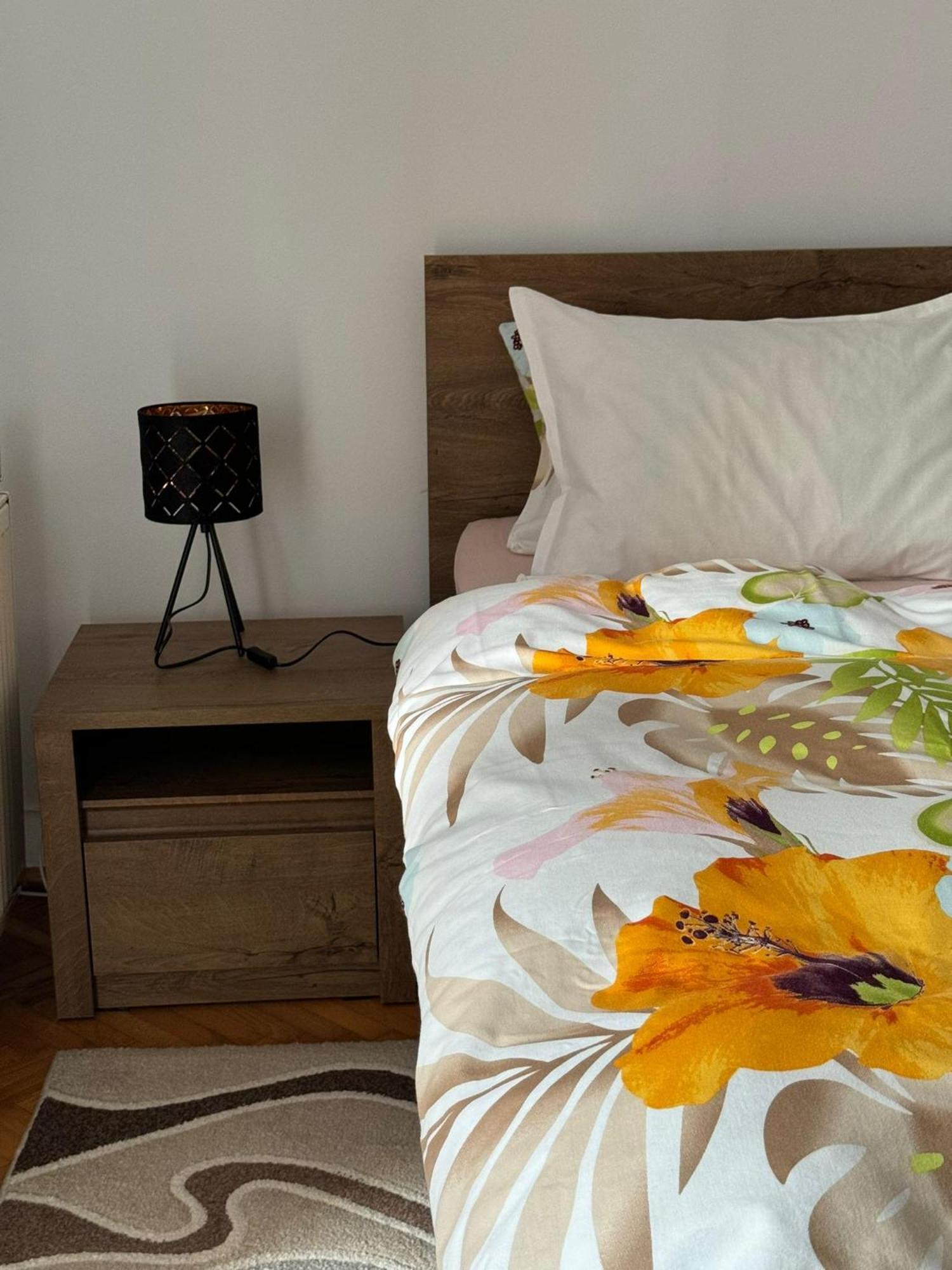 Apartament Victoria Тимишоара Экстерьер фото