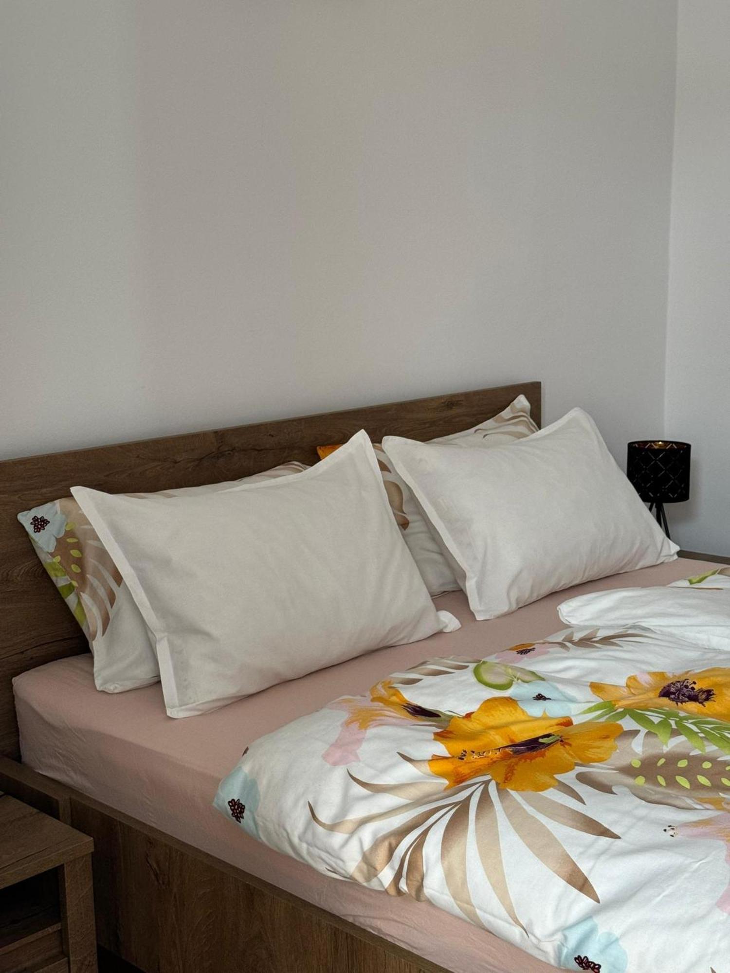 Apartament Victoria Тимишоара Экстерьер фото